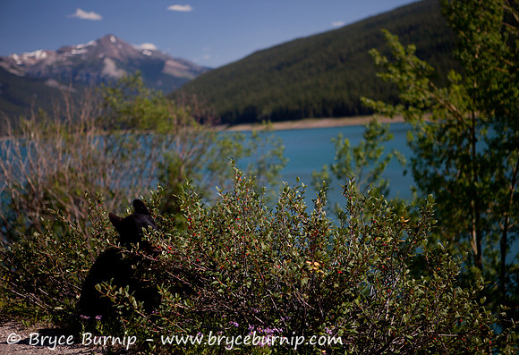 Jasper National Park Photography