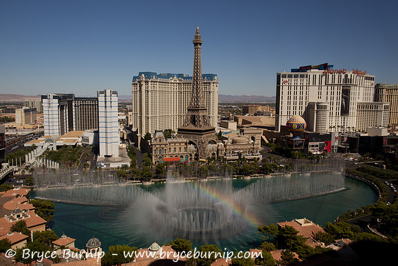 Viva Las Vegas