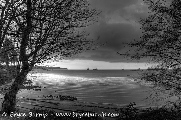 Vancouver, BC, Canada - Stanley Park Storm