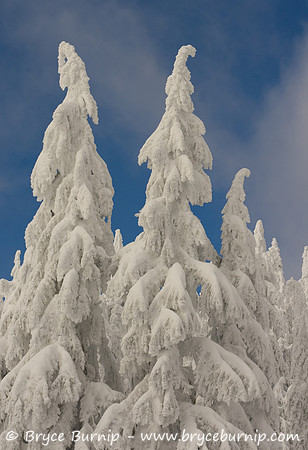 Vancouver, BC, Canada - Grouse Mountain