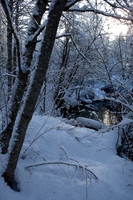 Whistler Blackcomb