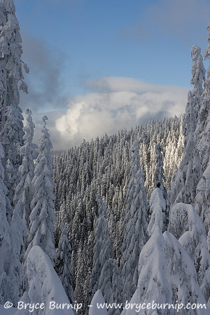 Vancouver, BC, Canada - Grouse Mountain