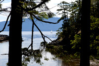 The Sunshine Coast