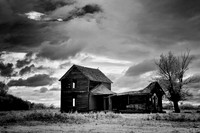 Alberta Plains
