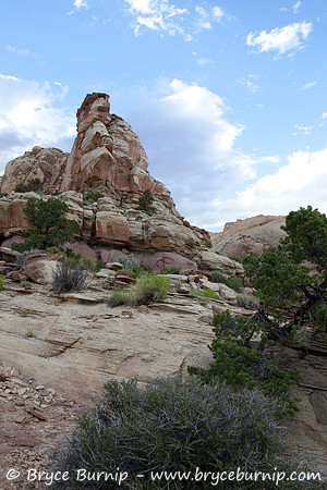 Capital Reef National Park