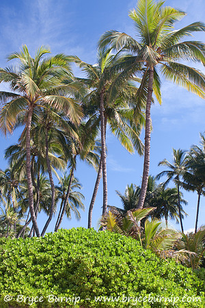 Maui, Hawaii, USA - Kama'ole Beach