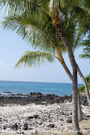 Hawaii, USA - Coast in Kona