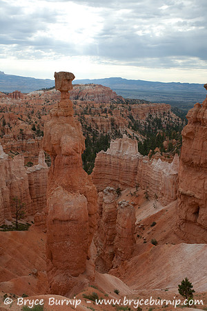 Bryce Canyon National Park, Utah - Hoodoos in the amphitheater