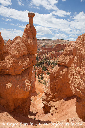 Bryce Canyon National Park, Utah - Hoodoos in the amphitheater