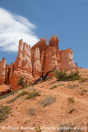 Bryce Canyon National Park, Utah - Hoodoos in the amphitheater