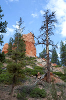 Bryce Canyon National Park - Bryce Canyon, Utah