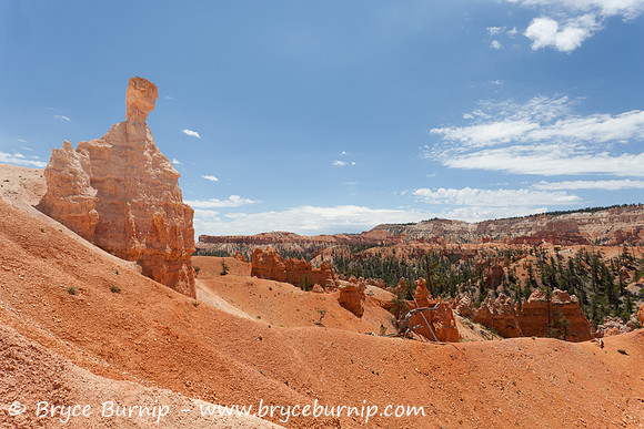Bryce Canyon National Park, Utah - Hoodoos in the amphitheater