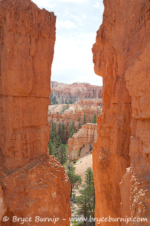 Bryce Canyon National Park, Utah - Hoodoos in the amphitheater