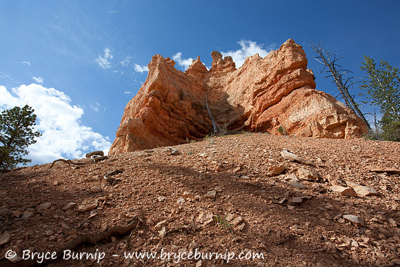 Bryce Canyon National Park, Utah - Hoodoos in the amphitheater