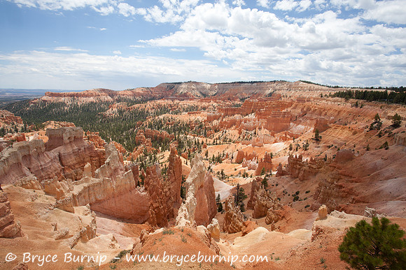 Bryce Canyon National Park, Utah - Hoodoos in the amphitheater