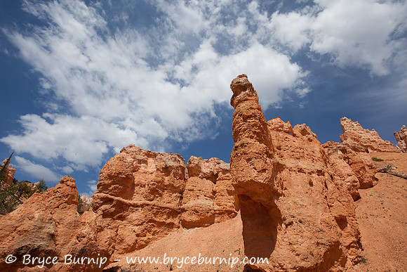 Bryce Canyon National Park, Utah - Hoodoos in the amphitheater