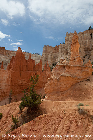 Bryce Canyon National Park, Utah - Hoodoos in the amphitheater