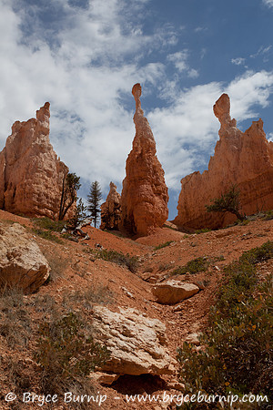 Bryce Canyon National Park, Utah - Hoodoos in the amphitheater