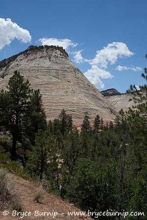 Zion National Park, Utah - Checkerboard Mesa