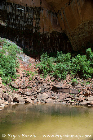 Zion National Park, Utah - Emerald Pools (not really so emerald, or pool like in the summer..)