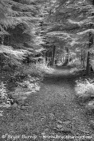 Belcarra Regional Park, BC, Canada - Jug Island Beach Trail