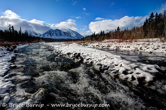 Kluane National Park, Yukon - Quill Creek