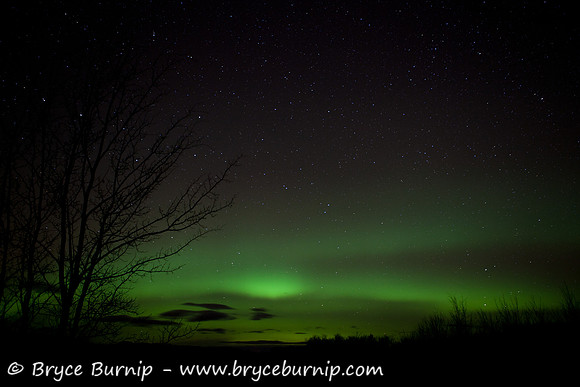 Yukon - Aurora Borealis