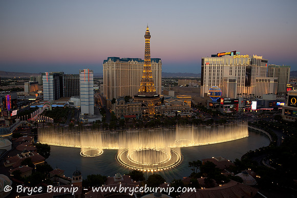 Viva Las Vegas