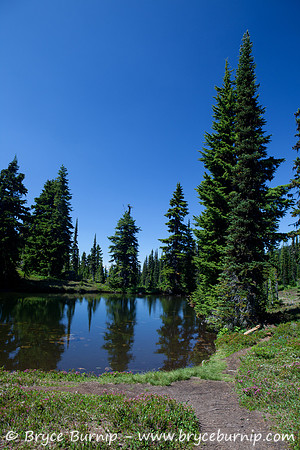 Garibaldi Provincial Park, BC, Canada - Black Tusk Meadows