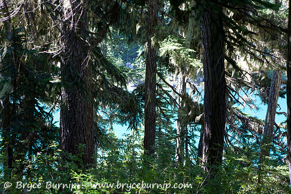 Garibaldi Provincial Park, BC, Canada - Lesser Garibaldi Lake