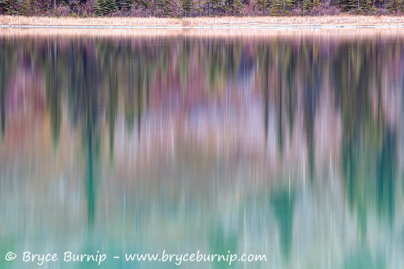 Reflections