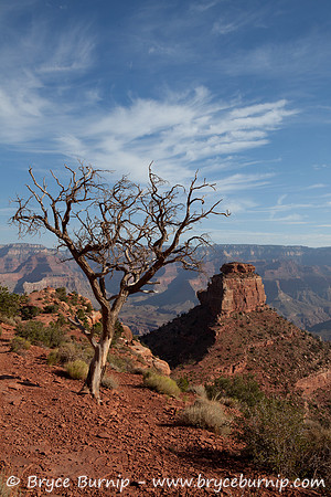 Grand Canyon National Park, Arizona