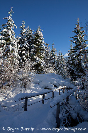 Whistler Blackcomb Vacation