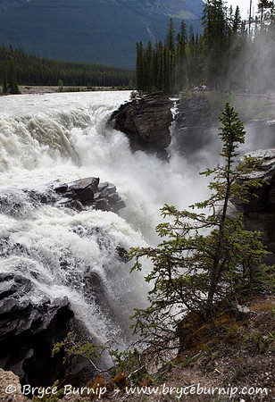 Jasper, AB - Jasper National Park, Athabasca Falls