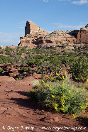 Canyonlands National Park, Utah