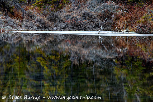 Reflections
