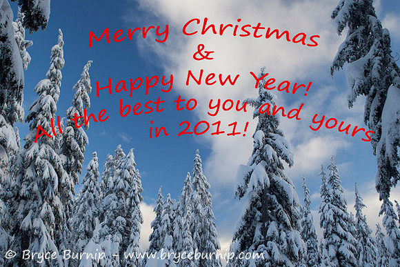 Merry Christmas, and happy new year (2010)