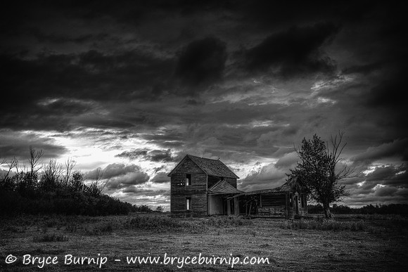 Alberta Plains
