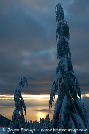 Cypress Mountain's Snow
